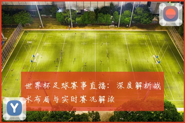 世界杯足球赛事直播:深度解析战术布局与实时赛况解读