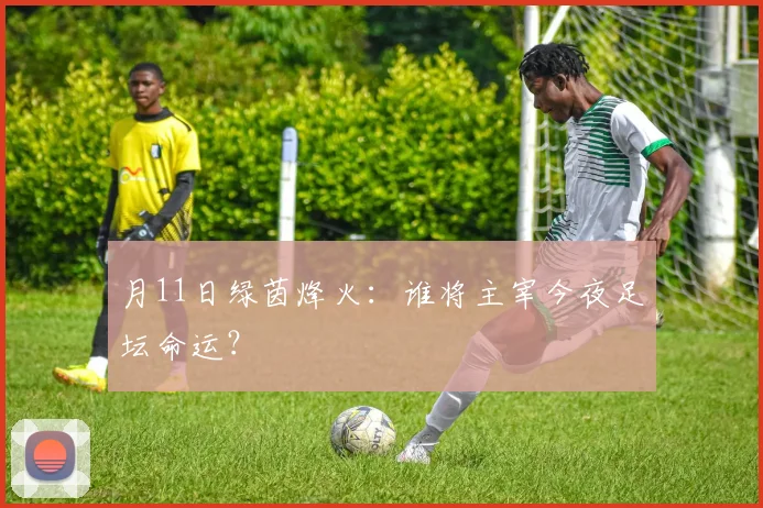 月11日绿茵烽火:谁将主宰今夜足坛命运?